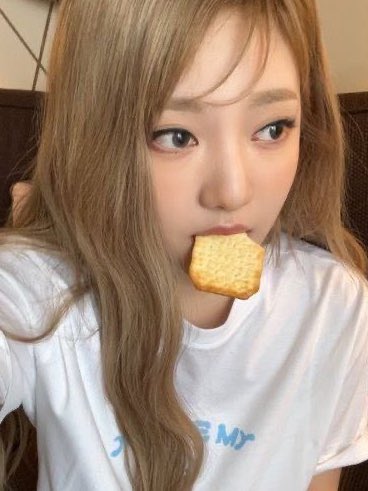 ₊˚ 𑣿ྀི 달린 ໒꒱⋆゚⊹ tweet media