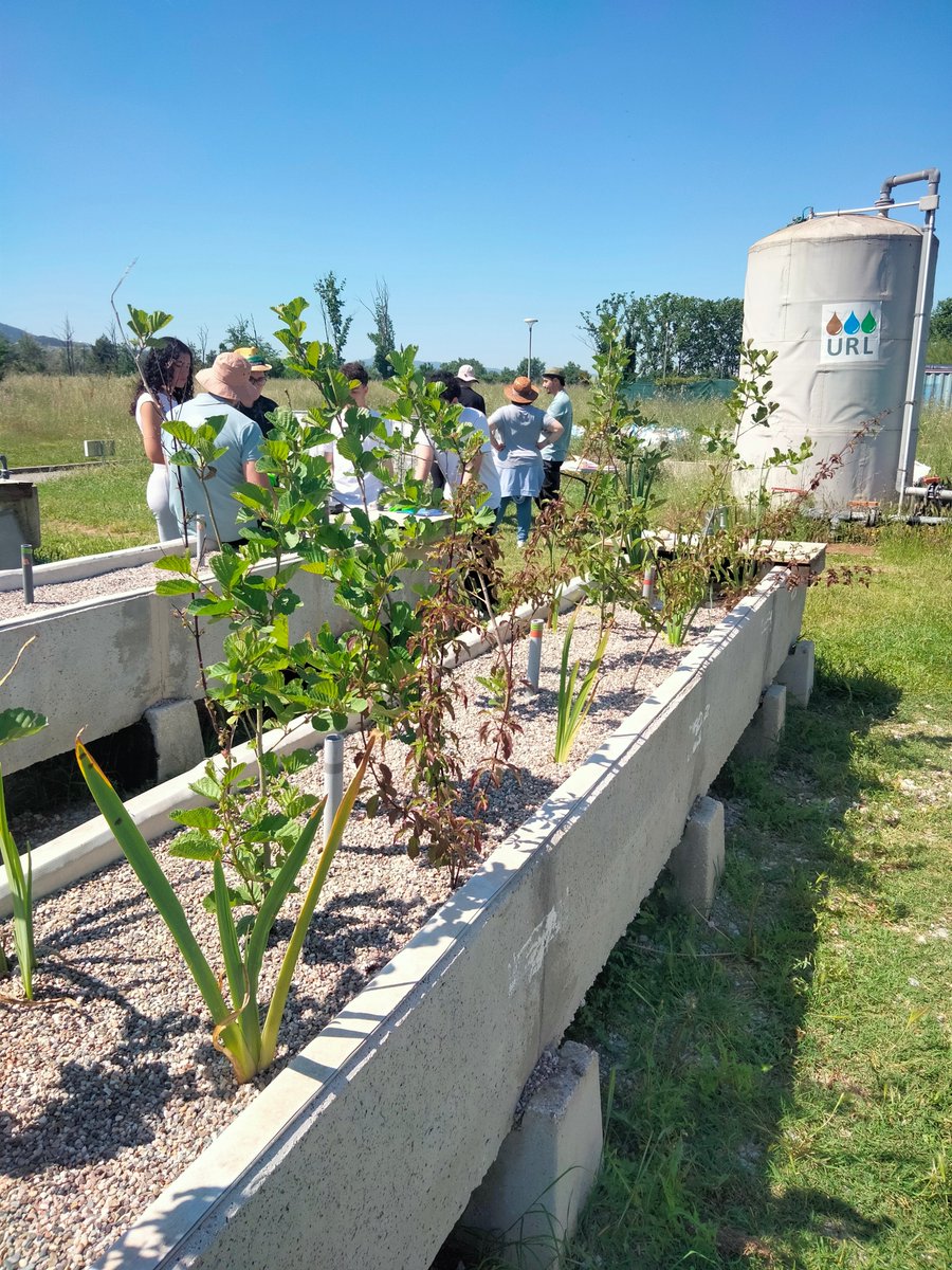 lapomadenewton's tweet photo. Els alumnes Cultura Científica @insmartamata han anat al #UrbanRiverLab per investigar amb les científiques del @ceabcsic la combinació d'espècies vegetals autòctones per optimitzar l'aigua abans del retorn al Mogent. Sortida de kilòmetre 0! Gràcies Gemma, Sara, David i Miquel. https://t.co/uSC7QqDDTb