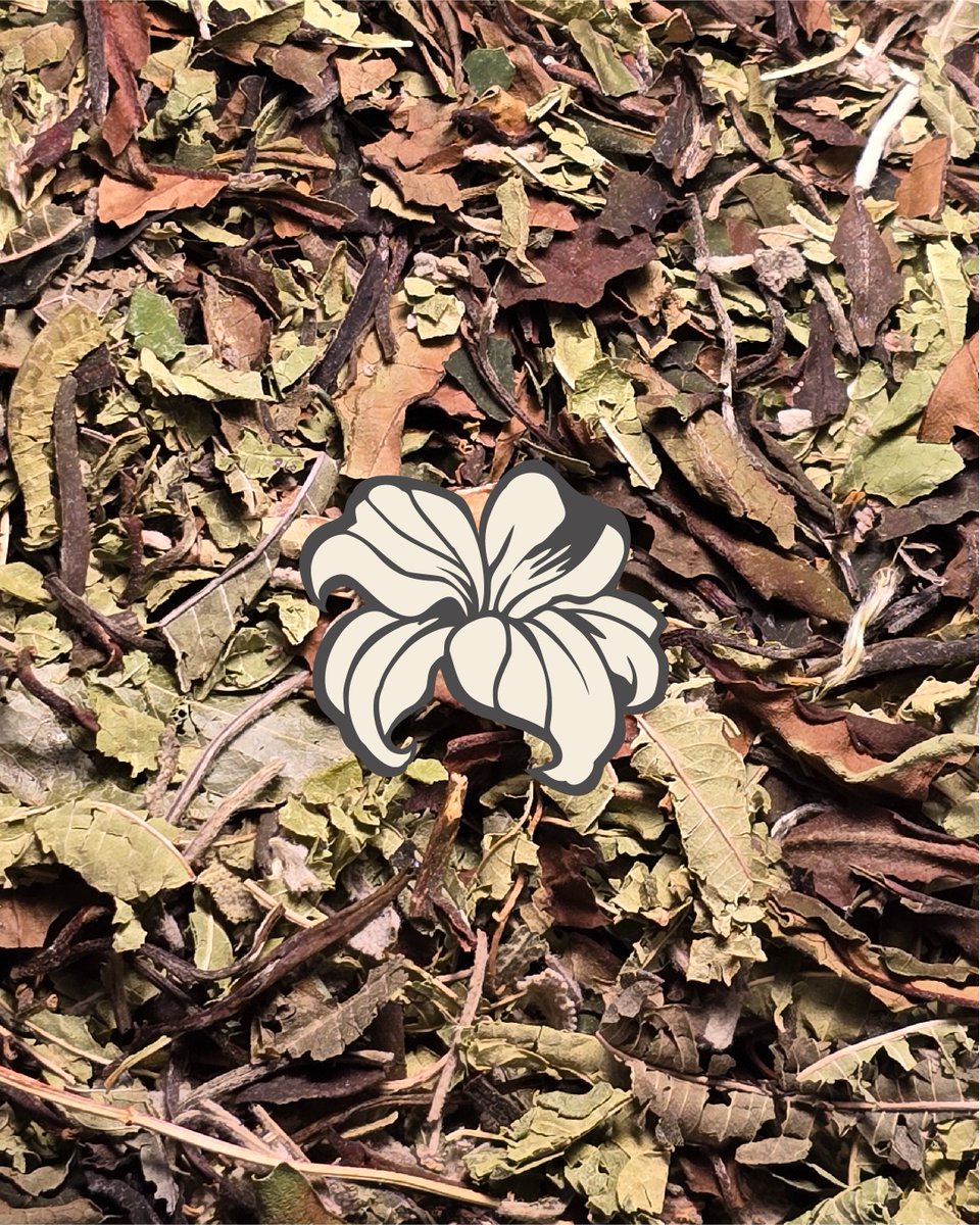 JoelAlejandro's tweet photo. Cuatro nuevas historias en té: una colección inspirada en paisajes de Japón. https://t.co/bHz7X51bSh