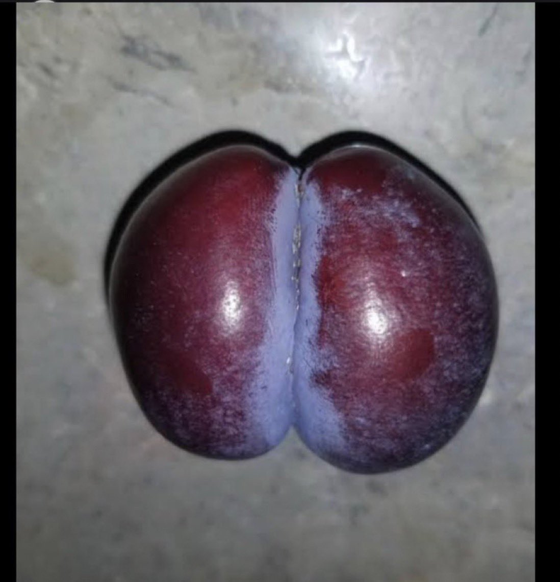 eL mAeStRo...😎 tweet media