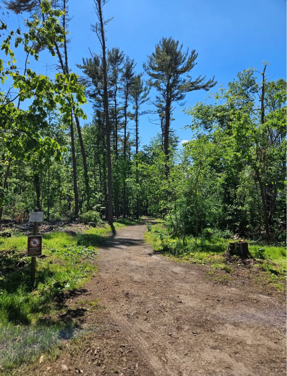 Bushy Run (@bushyrun) on Twitter photo Our main trails are back open!! <a href="/PHMC/">PA Historical & Museum Commission</a> <a href="/PA_Museums/">PA Museums</a> <a href="/laurelhighlands/">GO Laurel Highlands</a> Our main trails are back open!! <a href="/PHMC/">PA Historical & Museum Commission</a> <a href="/PA_Museums/">PA Museums</a> <a href="/laurelhighlands/">GO Laurel Highlands</a>