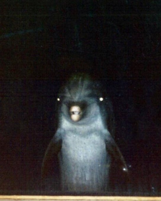 was twiddling my thumbs that whole series lets go ty for the carry  <a href="/17saizen/">saizen</a> <a href="/RLCharlieB/">CharlieB</a> <a href="/BeastBoundLive/">BeastBound</a>