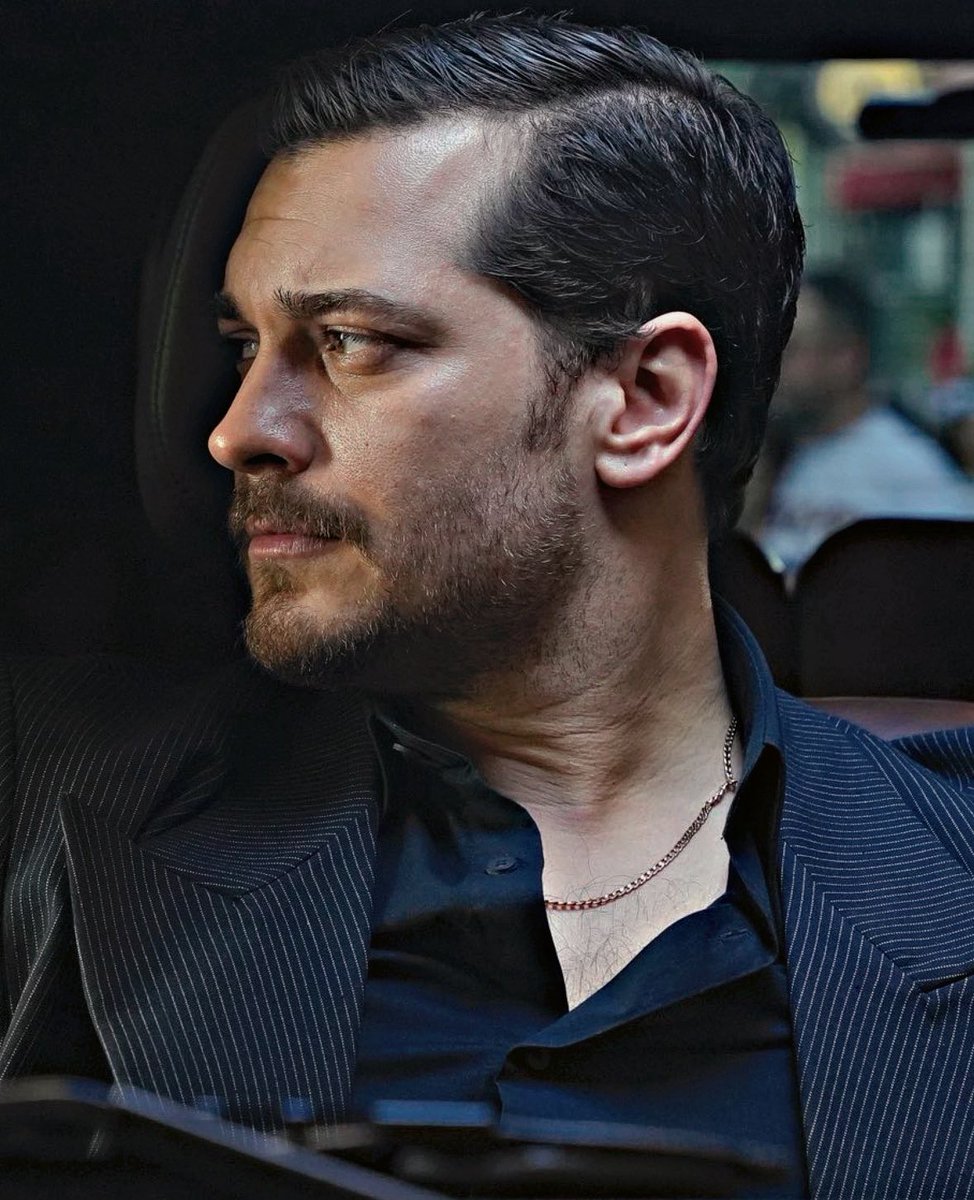 his side profile is a work of art .