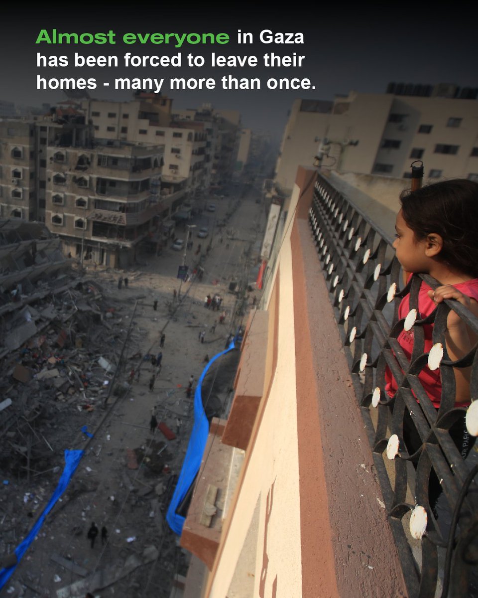 ShelterBox's tweet image. ⚠️ Conflict, disaster, and crisis are forcing people from their homes at an unprecedented rate.

Check out these shocking statistics from this year&apos;s Global Report on Internal Displacement (data from 2024) 💔👇

#IDPs #Displacement #HumanRights #ClimateChange #Conflict #Disaster