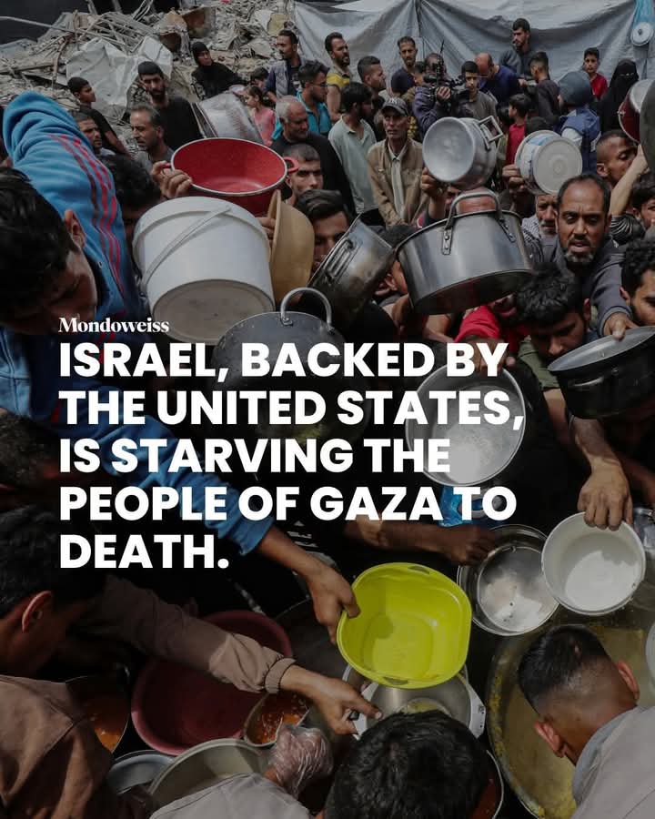 CoolSocialistGrandad man of peace (@cool_grandad) on Twitter photo <a href="/Munchbunch87/">MunchBunch</a> <a href="/bob_alian/">Bob Alian - ืื ื ืืขื ืคืืกืืื</a> <a href="/droiturejustice/">Emilio Loris</a> <a href="/RayJPolitics1/">Ray J Politics</a> <a href="/Chronikfr/">Chronik</a> <a href="/frburgat/">Franรงois Burgat</a> <a href="/Linformatrice1/">Linformatrice</a> <a href="/Joseph_Zernik/">Joseph Zernik #EndILApartheid #StopGazaGenocide ๐</a> <a href="/pierrejovanovic/">pierre jovanovic โฅ</a> <a href="/CharliesIngalls/">Charlies Ingalls Le Vrai ๐ค ๐๐๐๐๐ค</a> There is a genocide being carried out on palestinian people. This is not Aushwitz Dacau it's Palestine
youtu.be/kcYQ9q_7uWs?siโฆ <a href="/Munchbunch87/">MunchBunch</a> <a href="/bob_alian/">Bob Alian - ืื ื ืืขื ืคืืกืืื</a> <a href="/droiturejustice/">Emilio Loris</a> <a href="/RayJPolitics1/">Ray J Politics</a> <a href="/Chronikfr/">Chronik</a> <a href="/frburgat/">Franรงois Burgat</a> <a href="/Linformatrice1/">Linformatrice</a> <a href="/Joseph_Zernik/">Joseph Zernik #EndILApartheid #StopGazaGenocide ๐</a> <a href="/pierrejovanovic/">pierre jovanovic โฅ</a> <a href="/CharliesIngalls/">Charlies Ingalls Le Vrai ๐ค ๐๐๐๐๐ค</a> There is a genocide being carried out on palestinian people. This is not Aushwitz Dacau it's Palestine
youtu.be/kcYQ9q_7uWs?siโฆ