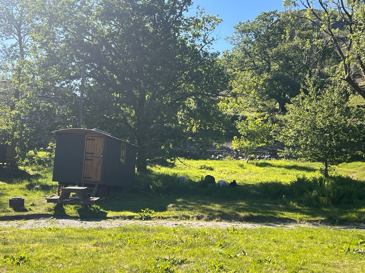 CampagnoloLab's tweet image. Looking forward to learn more about virology at the UK Hepacivirus and Flavivirus Meeting in the beautiful Rydal Hall in the Lake District 🦠☀️🕶️
