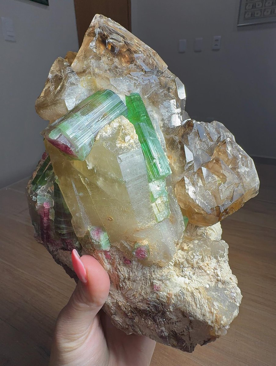 Specimen of Elestial Citrine quartz with Green and Watermelon Tourmaline crystals ✨ from Brazil

Photo by: Badin Stones Brazil