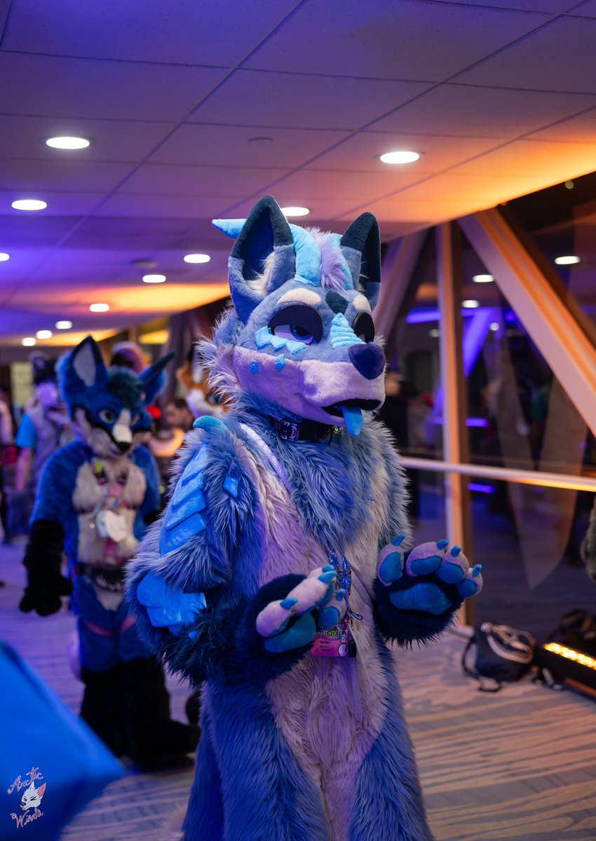 StarIcer (@star_icer) on Twitter photo Hold up, wait a minute, I left my consciousness in the sixth dimension~πΆ
π· : <a href="/ArcticWindPhoto/">Arctic Winds Photos</a> Hold up, wait a minute, I left my consciousness in the sixth dimension~πΆ
π· : <a href="/ArcticWindPhoto/">Arctic Winds Photos</a>