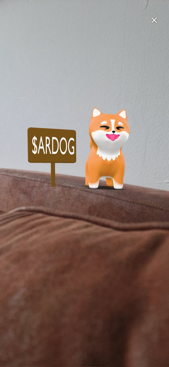 Nice to have a little cutie doggo wherever I go

$ARDOG <a href="/DogIsEverywhere/">ARDOG</a>