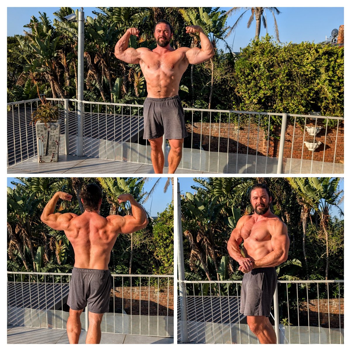 Hans Amato tweet media