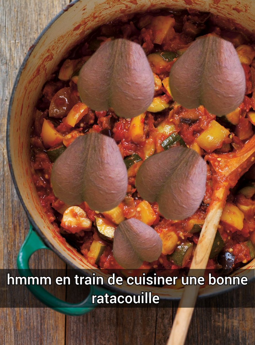 Mister Poules (@misterpoules) on Twitter photo 