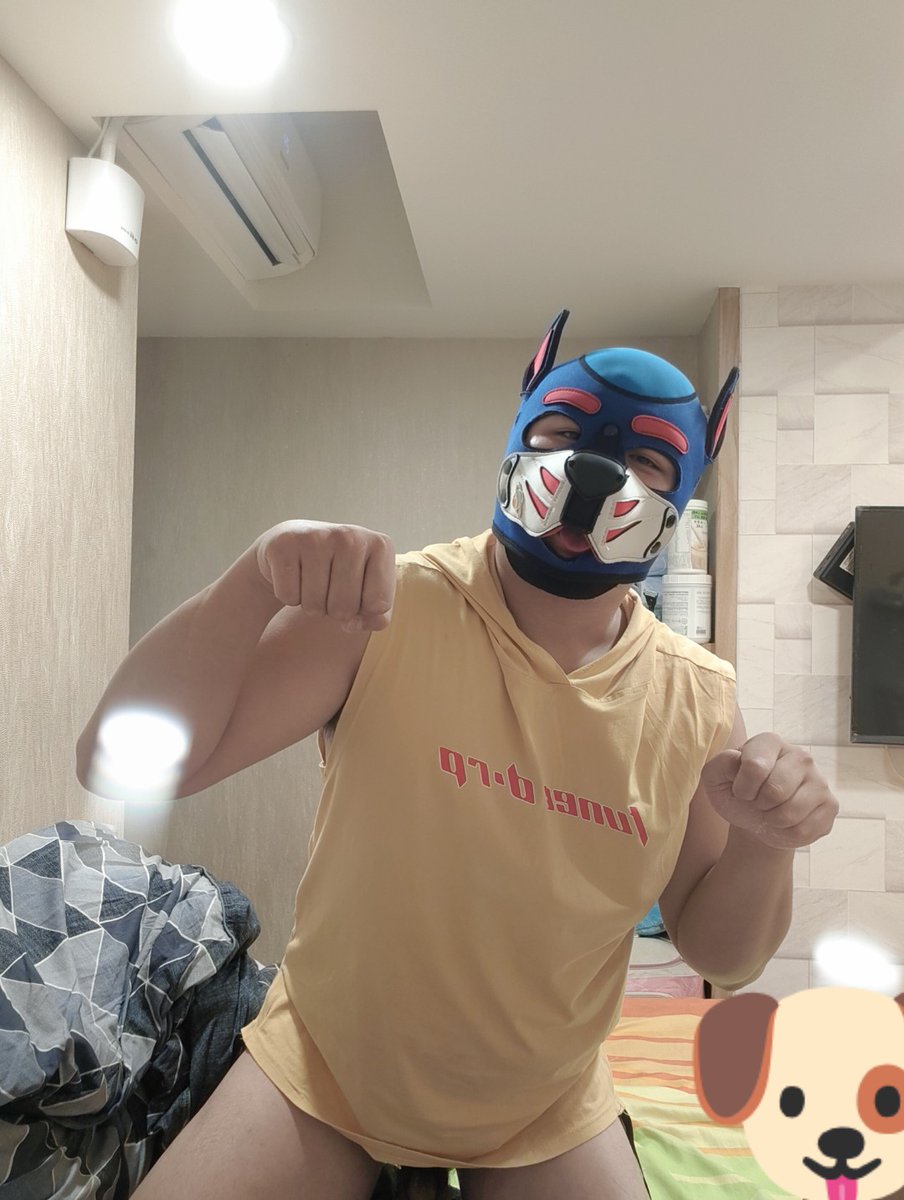 嗷嗷嗷~~~想你們了~你們看到了嗎🐕