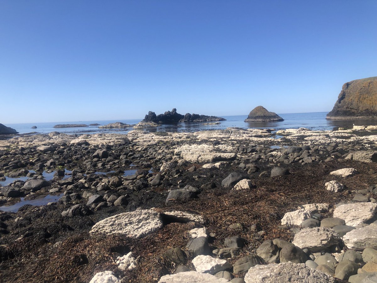 GerryMoriartyIT's tweet image. Spectacular walk from Giant’s Causeway to Ballintoy on a perfect day. @freyamcc @TourismIreland