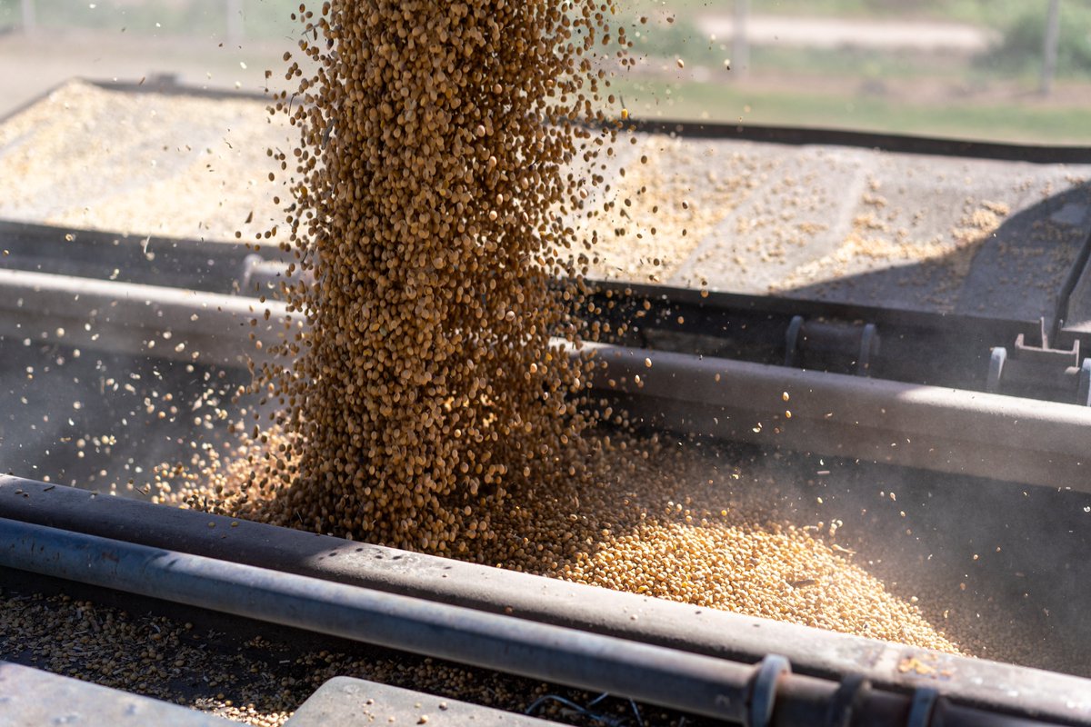 Trenes Argentinos Cargas tweet media