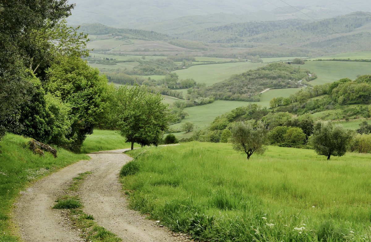 gezenhikayeci's tweet photo. I walked through Tuscany and enjoyed the breathtaking view of the heart of Italy. https://t.co/Sng3lHOtu5