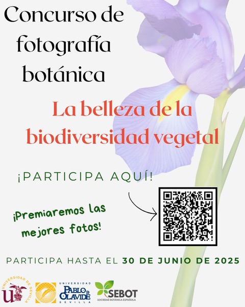 Sociedad Botánica Española (@oficialsebot) on Twitter photo 🌿 ¡Tenemos concurso de fotografía botánica!
📸 Participa hasta el 30 de junio
🏆 Premiaremos 3 fotos
🖼️ Varias se expondrán en <a href="/pablodeolavide/">Pablo de Olavide</a>
🎉 Entrega en el II Congreso SEBOT (22–25 sept)
📩 Info: concursosebot@gmail.com
🔗Apuntate: docs.google.com/forms/d/e/1FAI… 🌿 ¡Tenemos concurso de fotografía botánica!
📸 Participa hasta el 30 de junio
🏆 Premiaremos 3 fotos
🖼️ Varias se expondrán en <a href="/pablodeolavide/">Pablo de Olavide</a>
🎉 Entrega en el II Congreso SEBOT (22–25 sept)
📩 Info: concursosebot@gmail.com
🔗Apuntate: docs.google.com/forms/d/e/1FAI…
