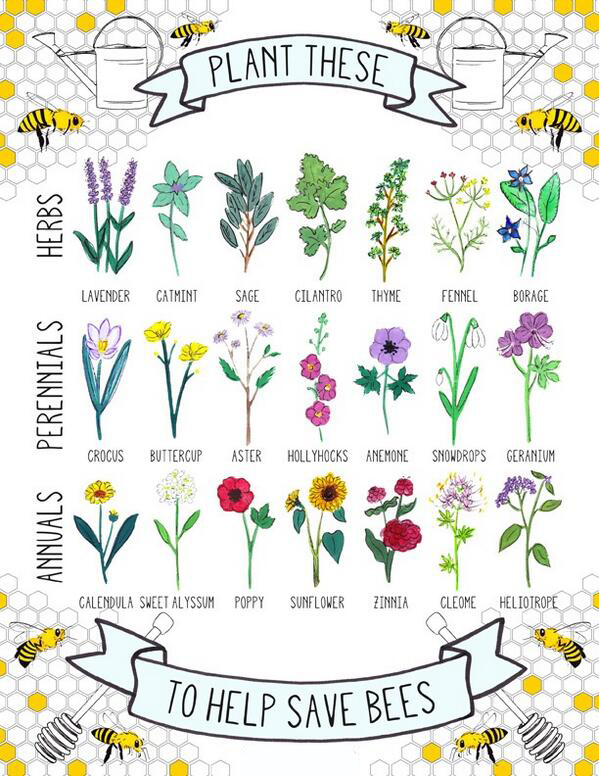 healthbot (@thehealthb0t) on Twitter photo 