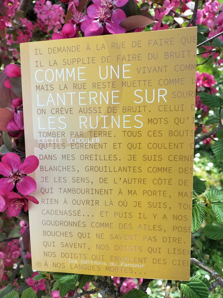 Comme une lanterne sur les ruines 
<a href="/CecileSchouler/">Cécile Schouler</a> 
Éditions du Panseur 
🌟🌟🌟🌟🌟
"Il demande à la vie de faire du bruit, du vrai bruit vivant comme la vie.
Mais la vie reste muette comme une lanterne sourde."
Un livre immense sur l'amour et le sacrifice.
Le haut du ciel.