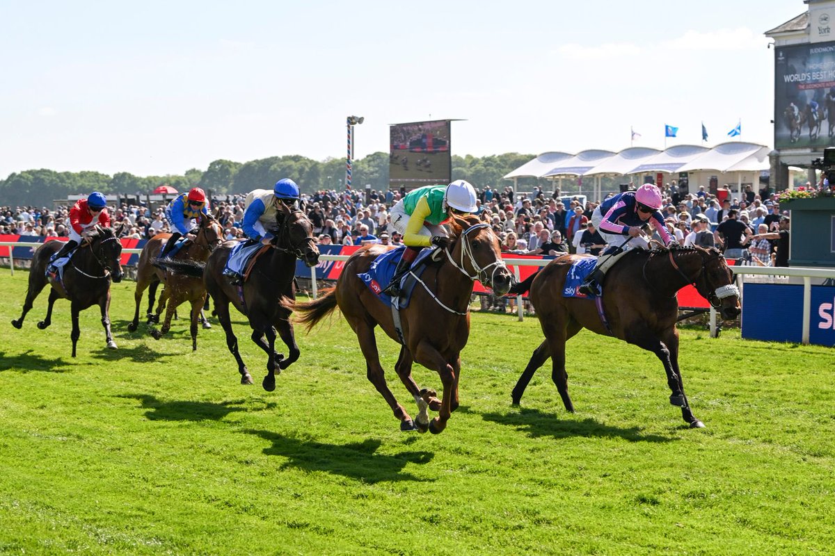 Barton Stud (@bartonstud1) on Twitter photo Kon Tiki remains unbeaten with success in the Listed Fillies' Stakes <a href="/yorkracecourse/">York Racecourse</a> under <a href="/DavidEgan99/">David Egan</a> for <a href="/JaneChappleHyam/">JaneChappleHyam</a>
Bred by <a href="/brightwaltstud/">Brightwalton Stud</a>, she was sold for 220,000gns at <a href="/Tattersalls1766/">Tattersalls</a> Book 1 to <a href="/StroudColeman/">Stroud Coleman Bloodstock</a> Kon Tiki remains unbeaten with success in the Listed Fillies' Stakes <a href="/yorkracecourse/">York Racecourse</a> under <a href="/DavidEgan99/">David Egan</a> for <a href="/JaneChappleHyam/">JaneChappleHyam</a>
Bred by <a href="/brightwaltstud/">Brightwalton Stud</a>, she was sold for 220,000gns at <a href="/Tattersalls1766/">Tattersalls</a> Book 1 to <a href="/StroudColeman/">Stroud Coleman Bloodstock</a>