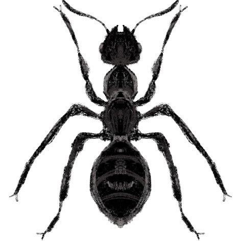 eetheena tweet media