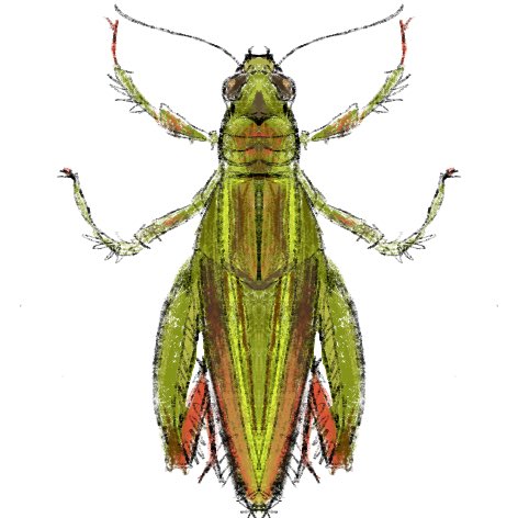 eetheena tweet media