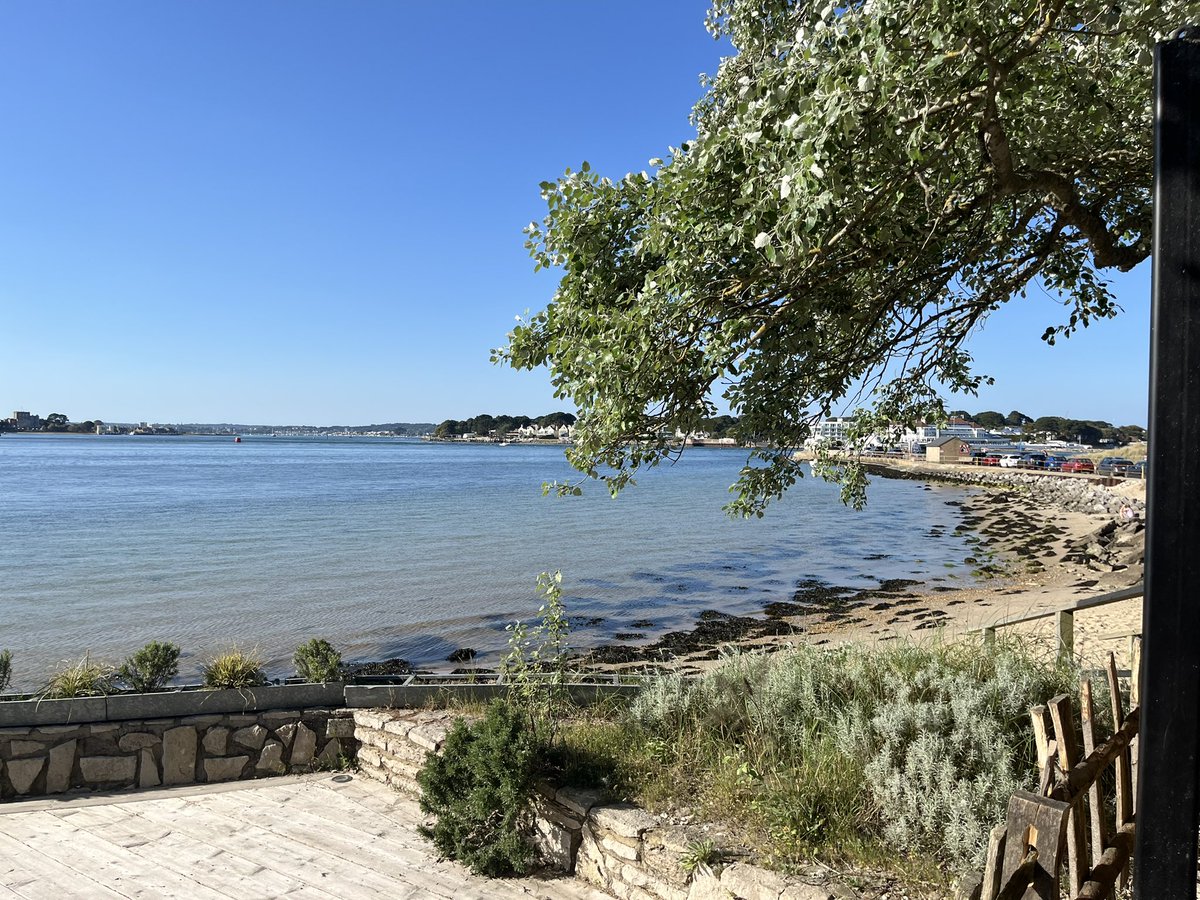 Bernard Donoghue tweet media