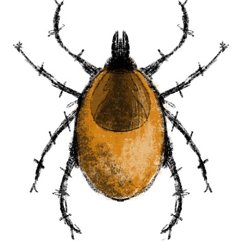 eetheena tweet media