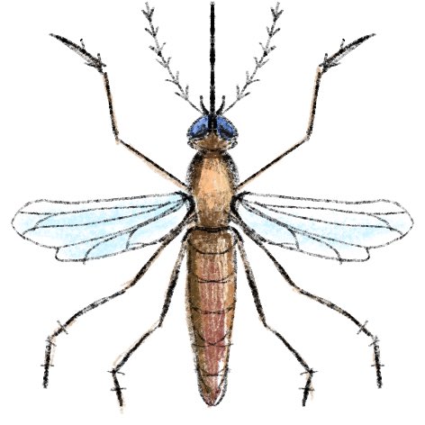 eetheena tweet media