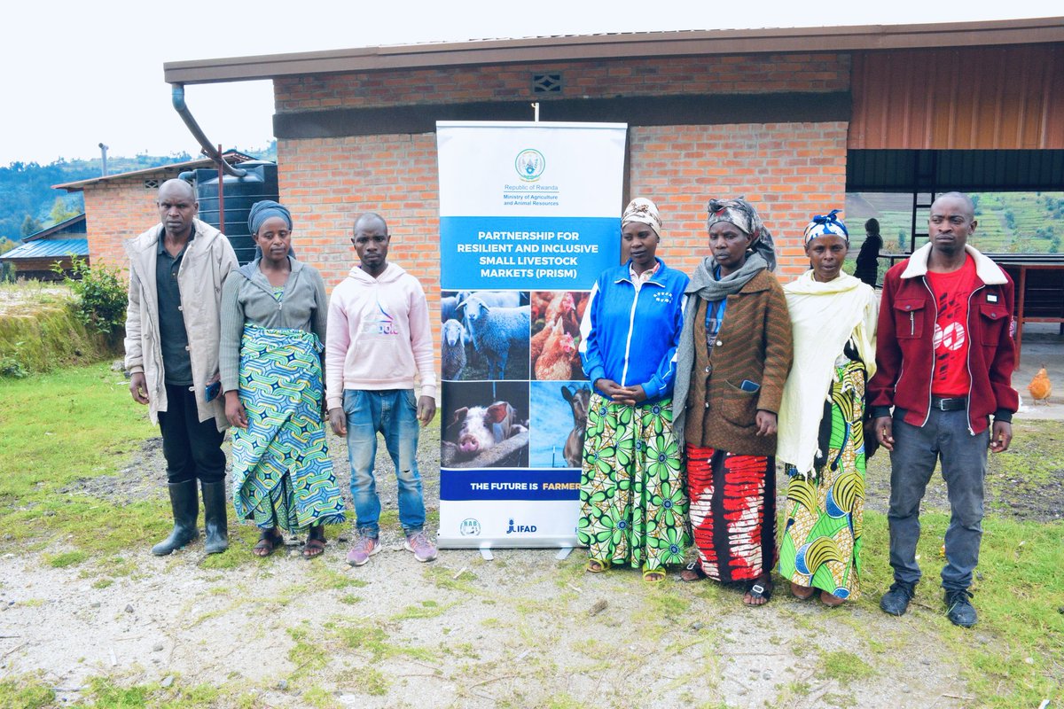 Lee_Fabricee's tweet image. 𝐄𝐦𝐩𝐨𝐰𝐞𝐫𝐢𝐧𝐠 𝐑𝐮𝐫𝐚𝐥 𝐋𝐢𝐯𝐞𝐥𝐢𝐡𝐨𝐨𝐝𝐬: 𝐇𝐨𝐰 #𝐏𝐑𝐈𝐒𝐌 𝐏𝐫𝐨𝐣𝐞𝐜𝐭 𝐢𝐬 𝐓𝐫𝐚𝐧𝐬𝐟𝐨𝐫𝐦𝐢𝐧𝐠 𝐀𝐠𝐫𝐢𝐜𝐮𝐥𝐭𝐮𝐫𝐞 𝐚𝐧𝐝 𝐋𝐢𝐯𝐞𝐬𝐭𝐨𝐜𝐤 𝐢𝐧 𝐍𝐲𝐚𝐛𝐢𝐡𝐮 𝐃𝐢𝐬𝐭𝐫𝐢𝐜𝐭.

The economy of @NyabihuDistrict is primarily based on agriculture and…