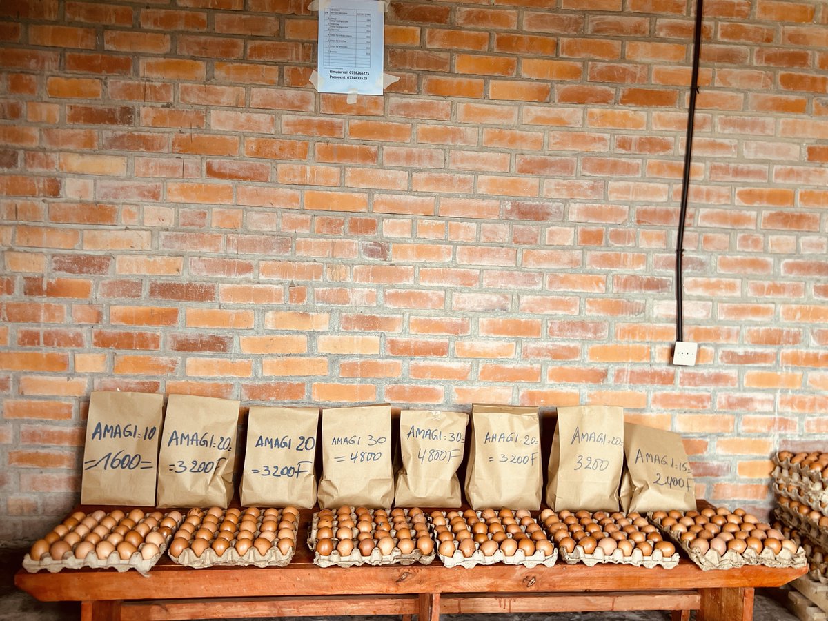 Lee_Fabricee's tweet image. 𝐄𝐦𝐩𝐨𝐰𝐞𝐫𝐢𝐧𝐠 𝐑𝐮𝐫𝐚𝐥 𝐋𝐢𝐯𝐞𝐥𝐢𝐡𝐨𝐨𝐝𝐬: 𝐇𝐨𝐰 #𝐏𝐑𝐈𝐒𝐌 𝐏𝐫𝐨𝐣𝐞𝐜𝐭 𝐢𝐬 𝐓𝐫𝐚𝐧𝐬𝐟𝐨𝐫𝐦𝐢𝐧𝐠 𝐀𝐠𝐫𝐢𝐜𝐮𝐥𝐭𝐮𝐫𝐞 𝐚𝐧𝐝 𝐋𝐢𝐯𝐞𝐬𝐭𝐨𝐜𝐤 𝐢𝐧 𝐍𝐲𝐚𝐛𝐢𝐡𝐮 𝐃𝐢𝐬𝐭𝐫𝐢𝐜𝐭.

The economy of @NyabihuDistrict is primarily based on agriculture and…