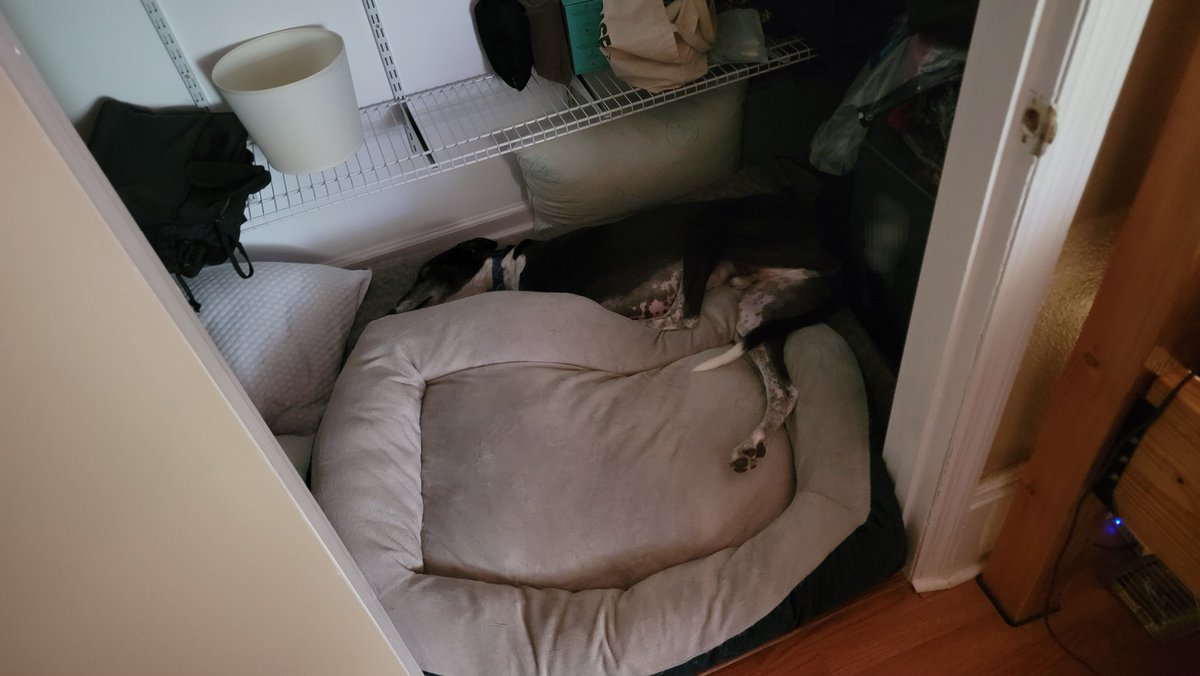 SleepZoomSleep's tweet photo. Bed fail 🫣 I have very comfortable legs 😆 https://t.co/zAe6I2Kkqk