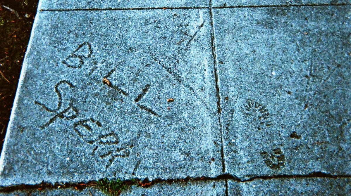 Sidewalk graffiti near my home, late-1957 or early 1958. I've no idea who Bill Sperry was. Probably around 13 back then, he'd be around 80 today. If he's still with us, I wonder if he remembers how, on a day long ago in a time and world long-vanished, he immortalized himself.