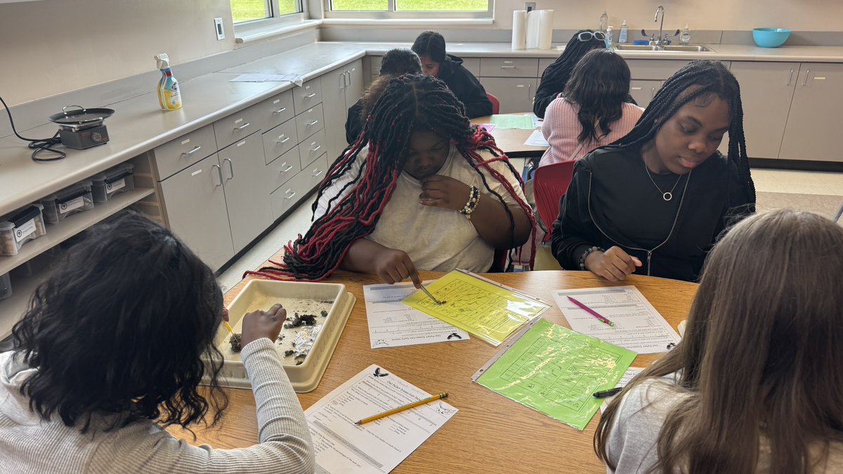 lamyerlewis's tweet photo. 🦉🔬 Our scientists got hands-on today with owl pellet dissections! Students explored food webs, predator-prey relationships, and had a blast uncovering tiny bones. #STEMinAction #OwlPelletDissection #7thGradeScience

@FultonCoSchools @SSCMS_FCS @lhwoodruff @MarcquezHaley @HosleyStephanie @Mr_Hytowitz 
@alexbatesedu