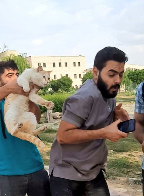 پاتریک پرنسسی بود برا خودش 😂❤️