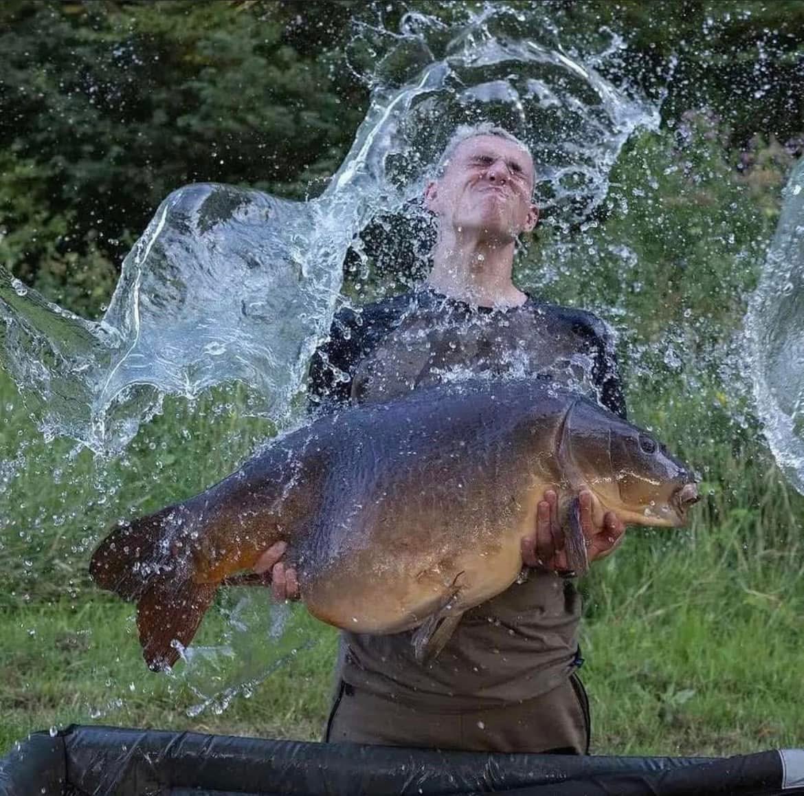 Big Carp Buzz tweet media