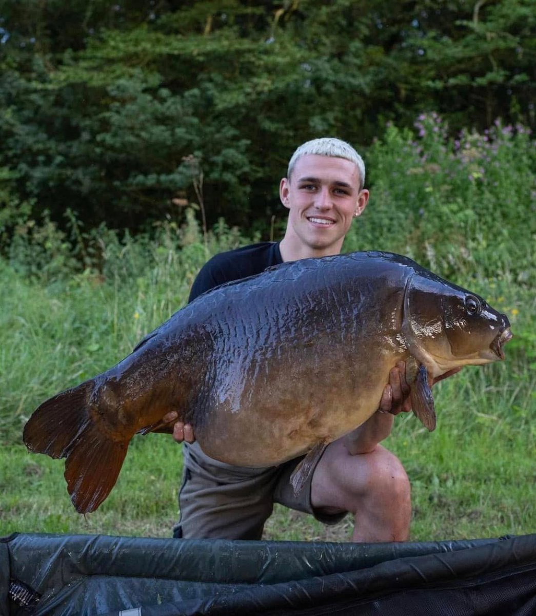 Big Carp Buzz tweet media