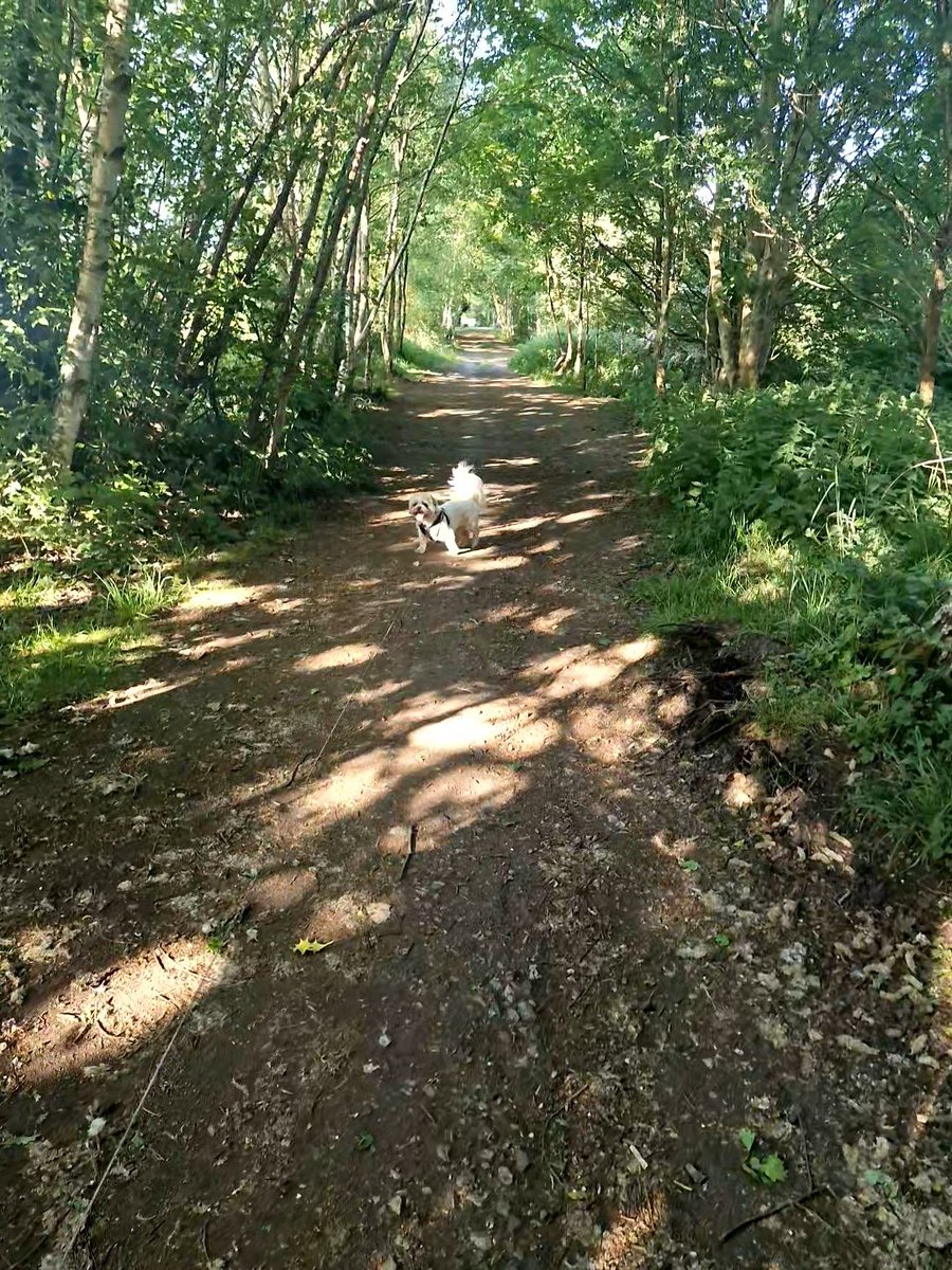 We walking down the canal then down the old railway! Happy friday 🥰🥰