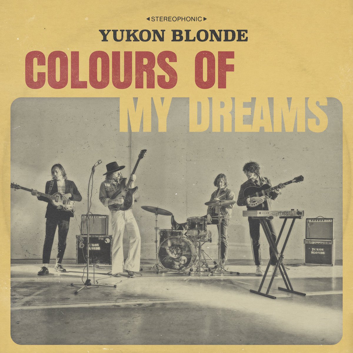 EXTRA! EXTRA! Read all about it!

Put down your lattes and listen up! The perennial-millennial hitmakers, Yukon Blonde, are back at it with a new single, “Colours of My Dreams” OUT May 23rd!

PRE-SAVE!
yukonblondestream.com/coloursdreams