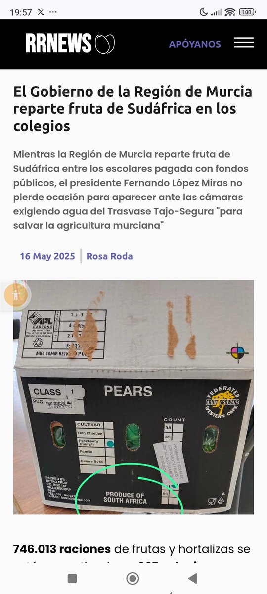El Palleter tweet media