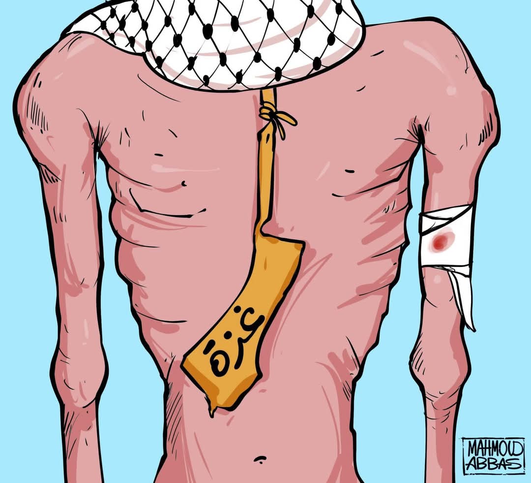 ليس عليك أن تكون مسلمًا لدعم فلسطين ، عليك فقط أن تكون إنسانًا.🇵🇸 You don't have to be a Muslim to support Palestine, you just have to