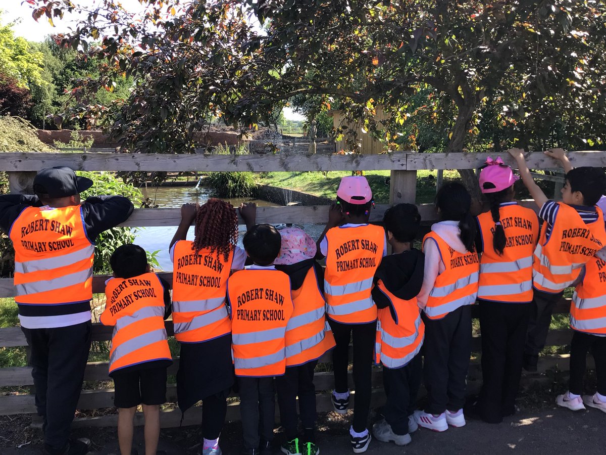 N-amoabil tweet media