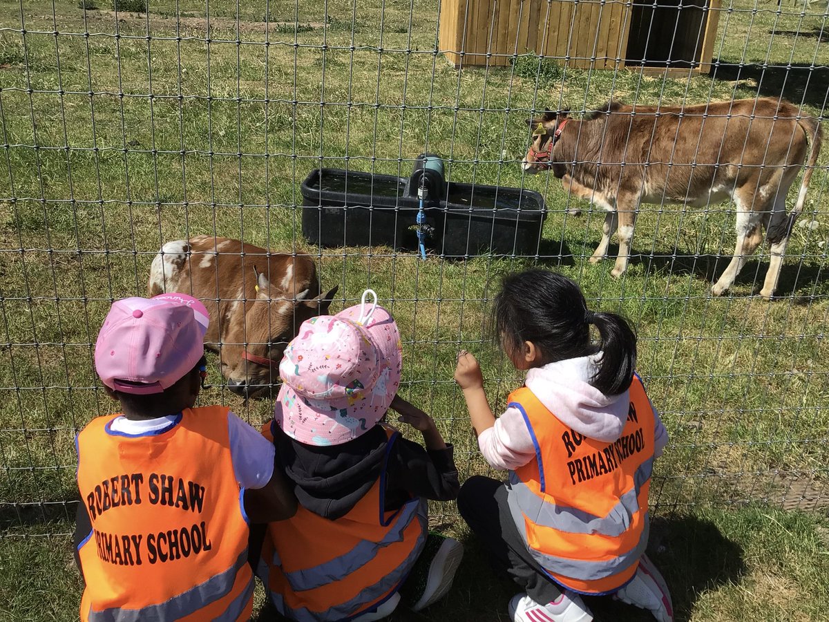 N-amoabil tweet media