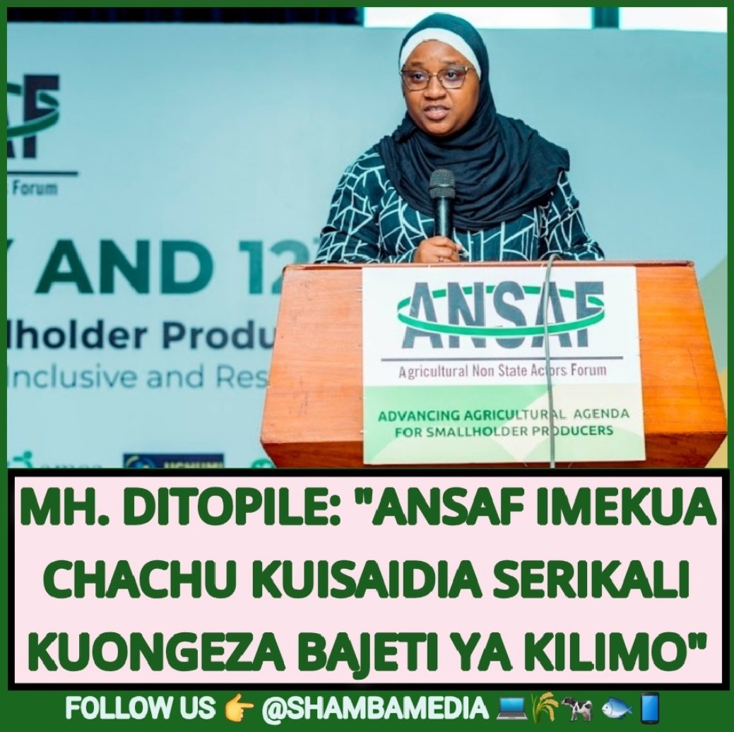 shambamedia's tweet photo. Makamu mwenyekiti wa kamati ya kudumu ya bunge Kilimo, Mifugo, Viwanda na biashara Mh. Mariam Ditopile(mb) ameipongeza sekretariet ya jukwaa la wadau wasio wa kiserikali la @ANSAFForum pamoja na wanachama kwa juhudi ya kusimamia jukwaa katika kuinua sekta ya kilimo nchini. #ANSAF https://t.co/is6POxNfTp