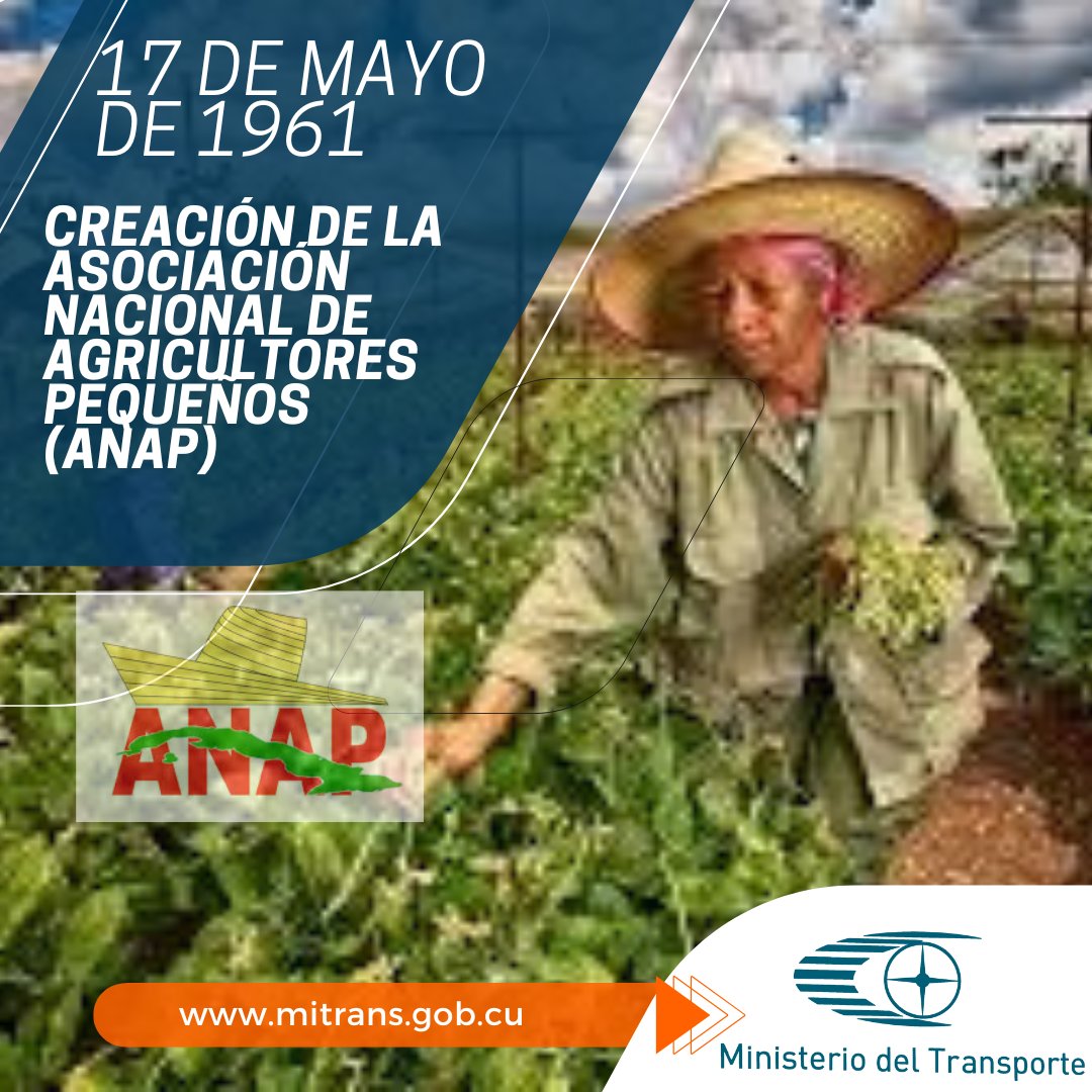 MitransCuba's tweet image. Surgida de la integración de diversas agrupaciones de agricultores, ganaderos y la incorporación de pequeños productores propietarios tras la promulgación de la Ley de Reforma Agraria, la Asociación Nacional de Agricultores Pequeños, ANAP llega hoy a su 64 Aniversario de creación