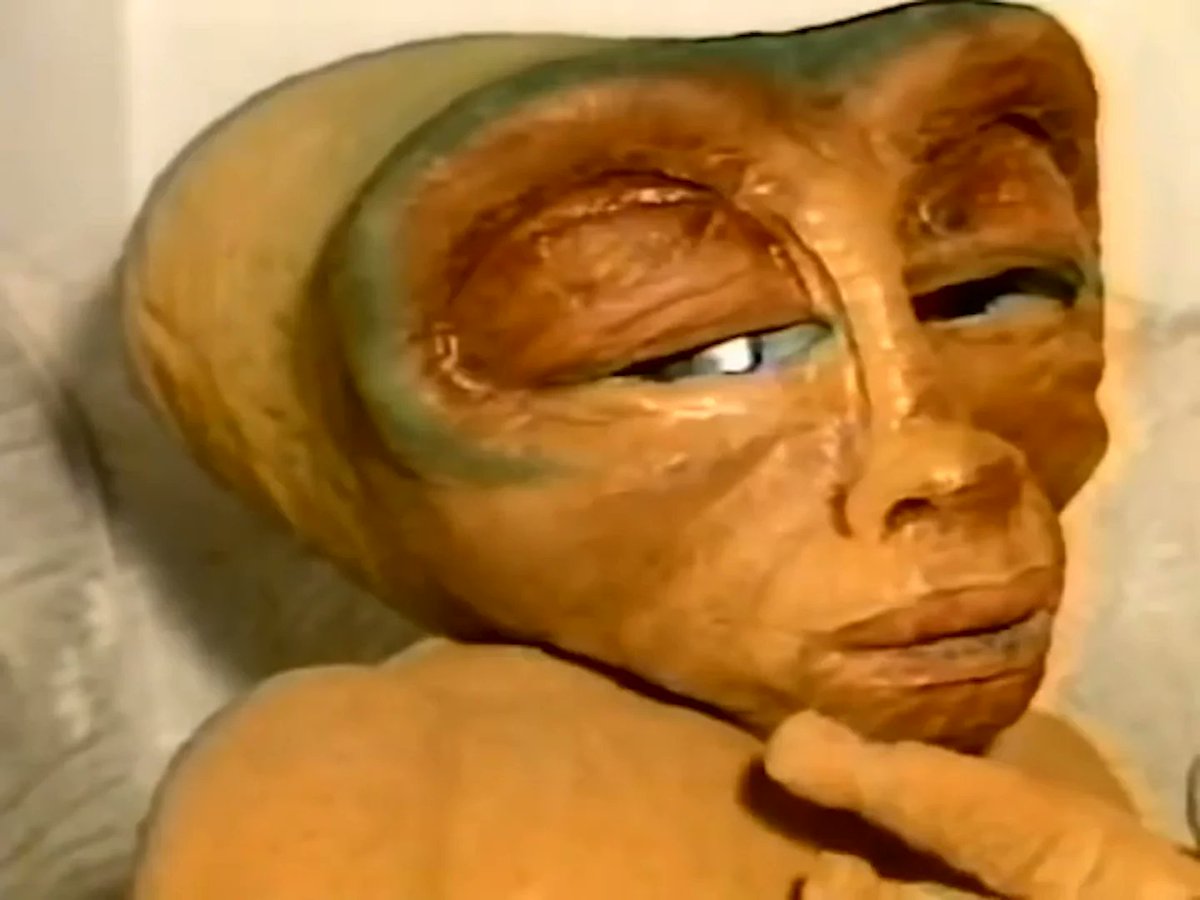 cinecutre's tweet photo. ¡Los extraterrestres buenos invaden nuestro show de humor y cine cutre "VHZ"!
31 de mayo y 28 de junio a las 12:30h del mediodía en Salaequis (C/ Duque de Alba, 4 – Madrid), con @PalenciaCharlie de maestro de ceremonias.
Entradas: https://t.co/OhZ3HLHNZm
#LiloandStitch https://t.co/12T36chYzq