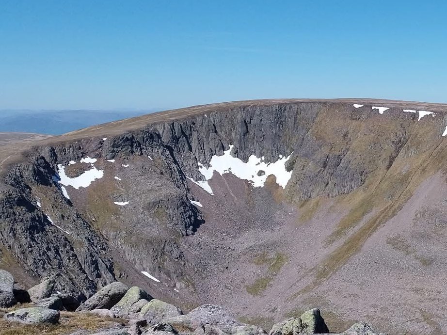 Iain Cameron tweet media