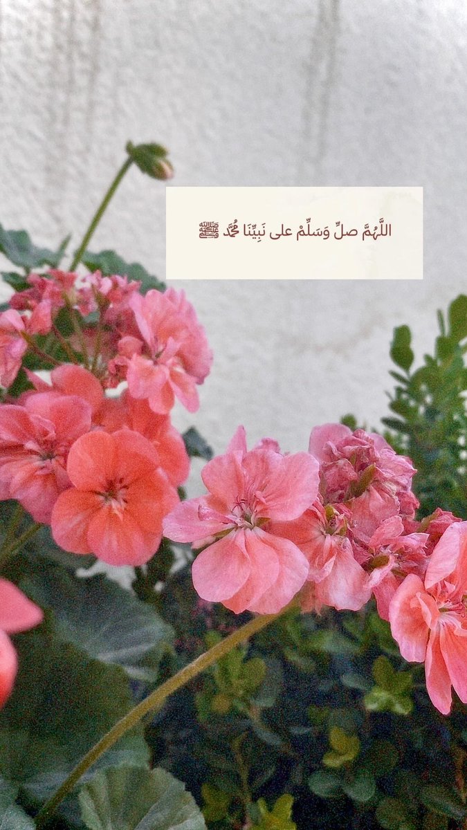 ph_oto3's tweet photo. #يوم_الجمعه https://t.co/Yx005H6IxK