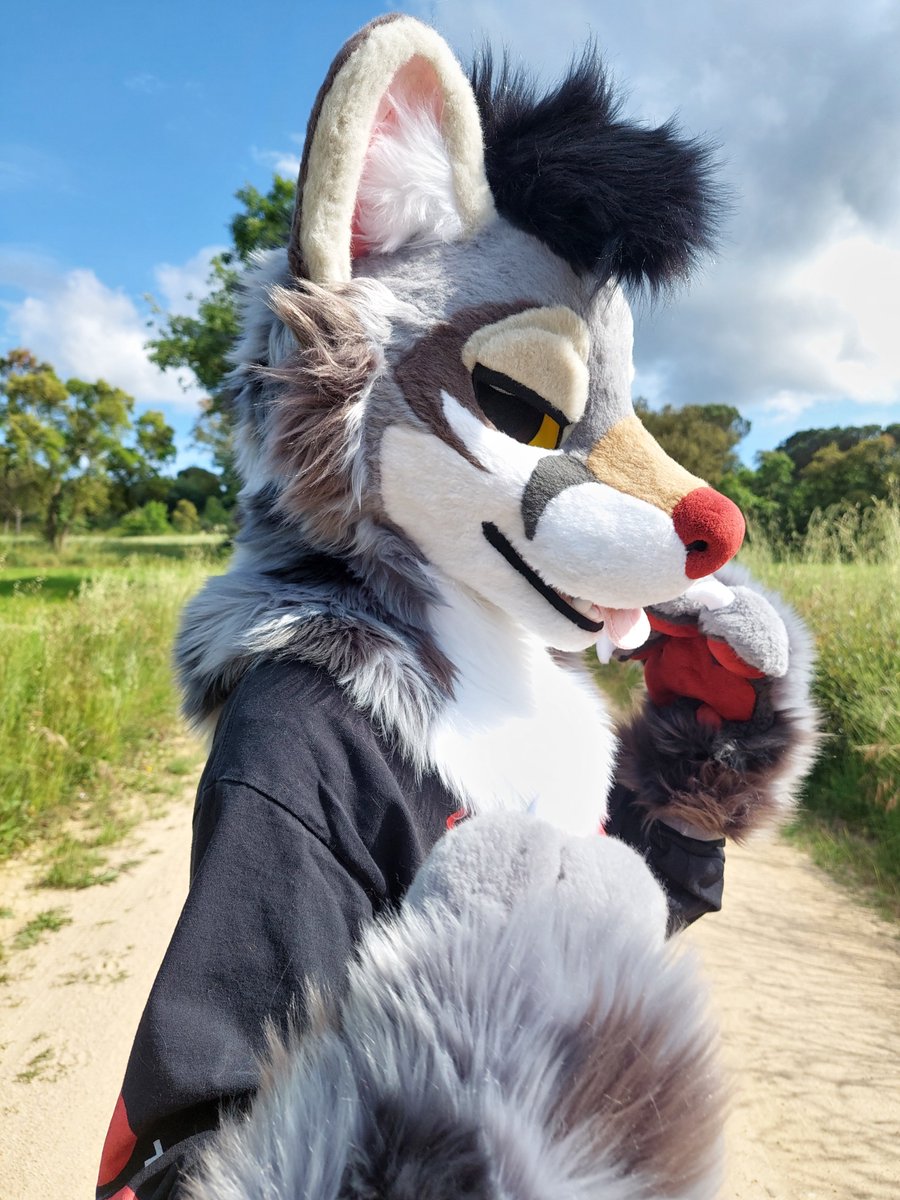 tomacats_suits's tweet image. Say hi to the first premade for Confuzzled this year! 🇬🇧

This cute genet partial will be available at our table! ✨

They feature a pair of eyelids, interchangeable tongue and the cutest beans around! 🐾

Feel free to DM us for any question!✨

#CFZ #CFZ2025 #ConFuzzled