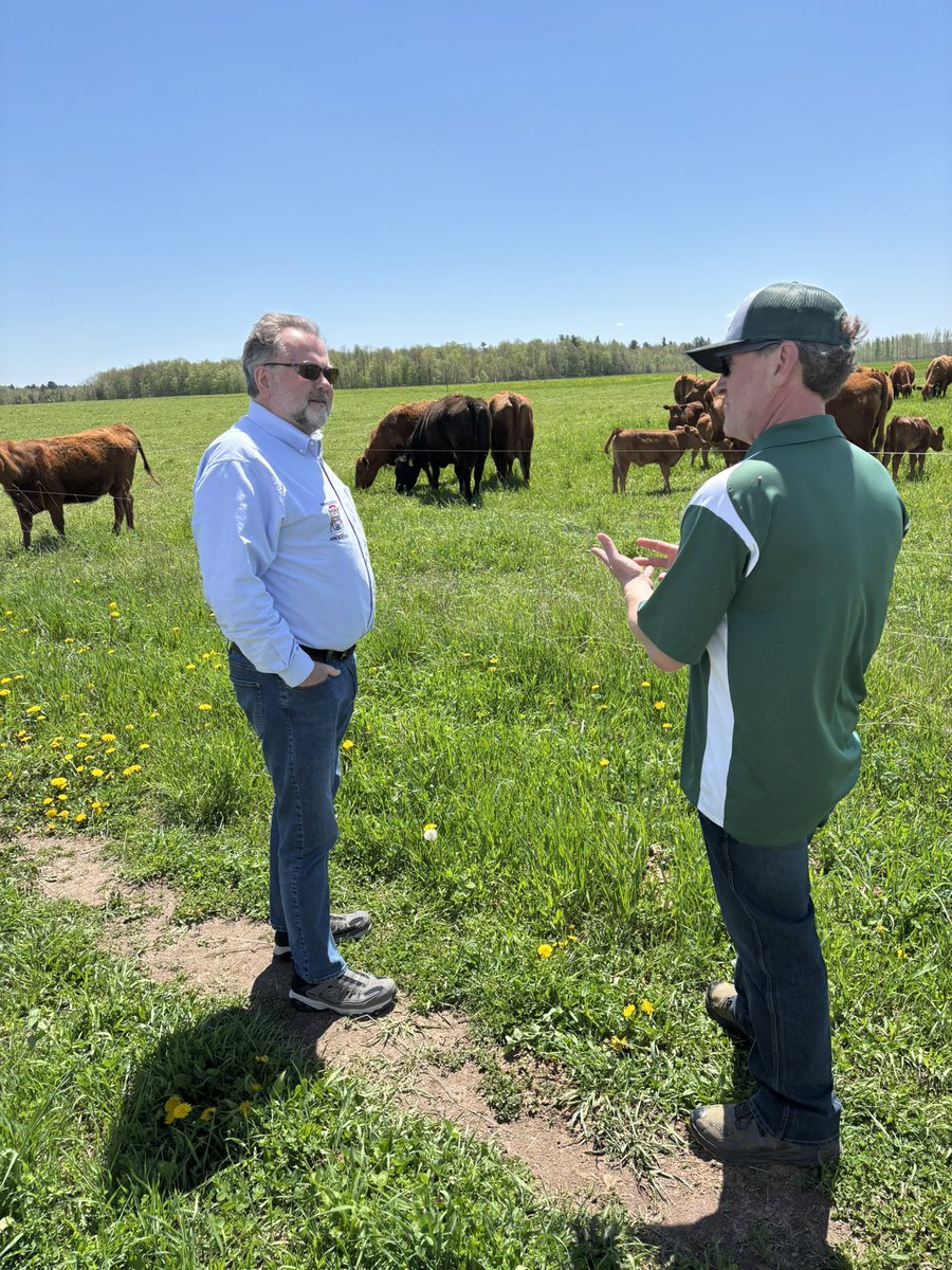 GeorgeSmithMSU's tweet photo. A big thank you to Rep. @KenBorton for visiting our Lake City Research Center. Alongside @QuentinRomar, we heard about the great work with beef cattle and regenerative agriculture happening at the center led by Jason Rowntree, the C.S. Mott Professor of Sustainable Agriculture. https://t.co/YkIn0NP8qt