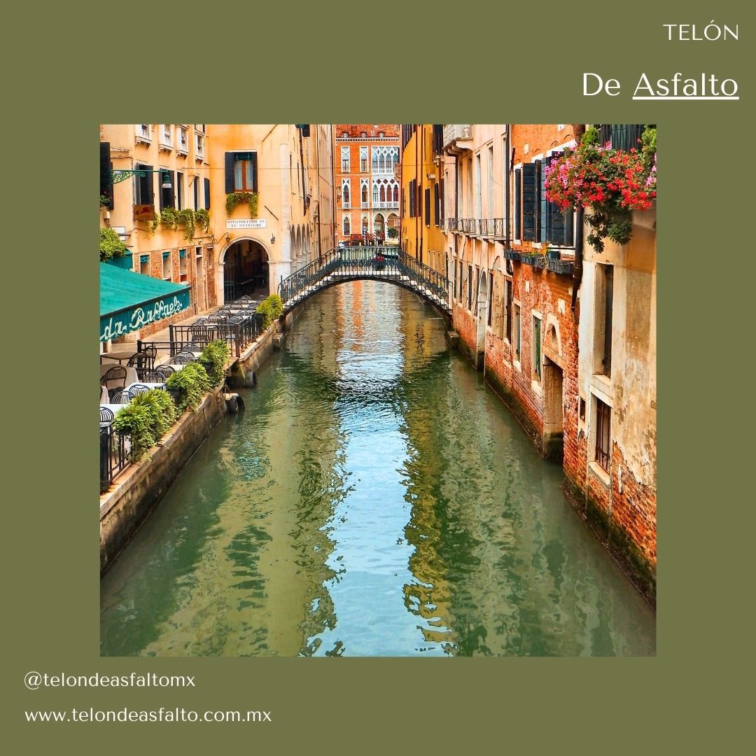 “Si nos pinchan, ¿no sangramos?
Si nos hacéis cosquillas, ¿no reímos?
Si nos envenenan, ¿no morimos?
Y si nos ofenden, ¿no nos vengaremos?”
El mercader de Venecia
William Shakespeare